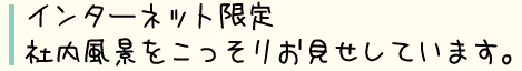 インターネット限定　社内風景をこっそりお見せしています。